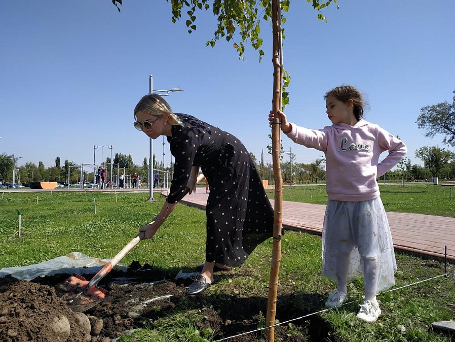 В Бишкеке горожане сами высаживают целые парки