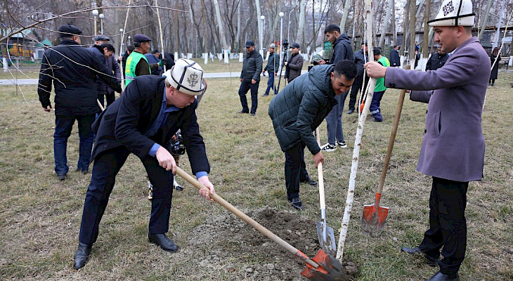 В Оше за один день посадили 10 тыс. саженцев